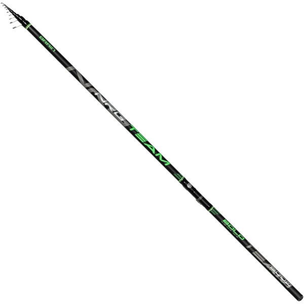 Brain NRG Team Bolognese fishing rod 5m 30-80g