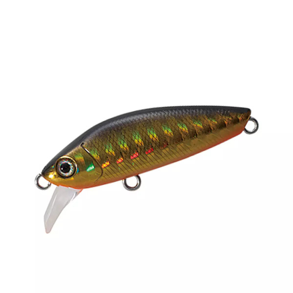 Wobbler Tackle House Shores Tiro Minnow 44S 44mm 4.8g #Gold Black Orange Belly