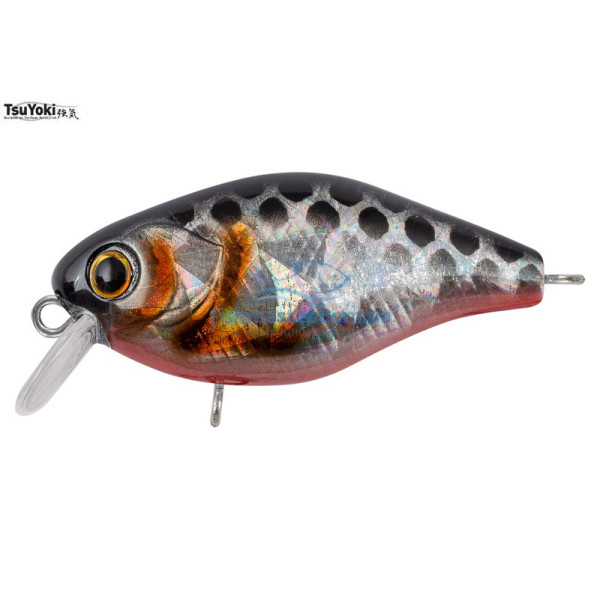 Wobbler Tsuyoki CHEF 38F TS264